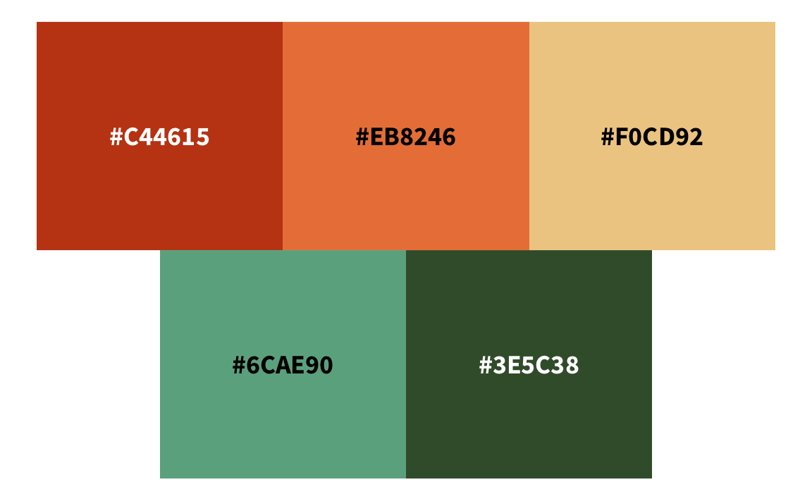 The five colors of the Showgirl color palette. The hexadecimal codes are #C44615, #EB8246, #F0CD92, #6CAE90, and #3E5C38
